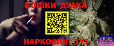 стафф Краснознаменск