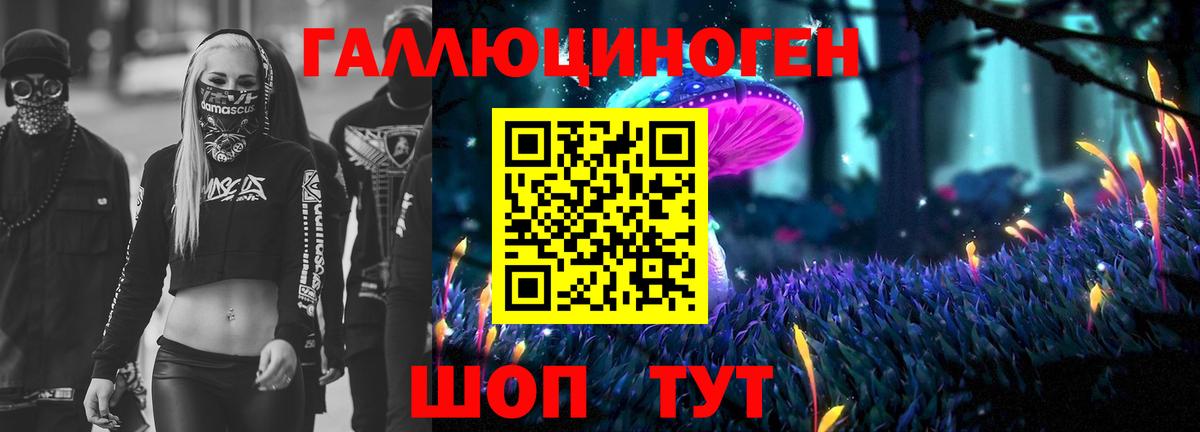 Псилоцибиновые грибы мицелий Королёв