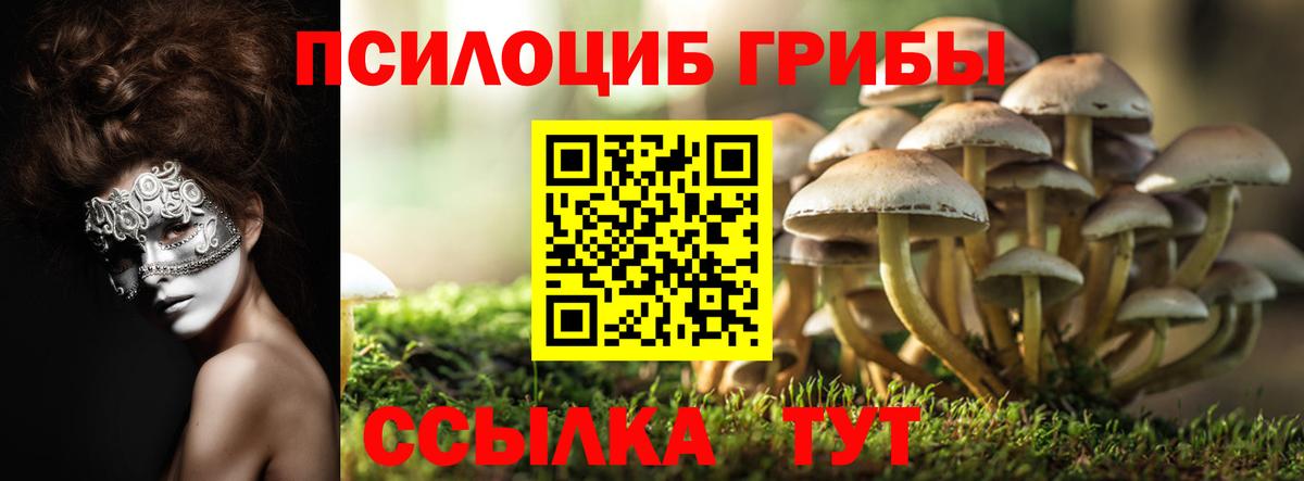 Галлюциногенные грибы мухоморы  Вход с VPN  Королёв 